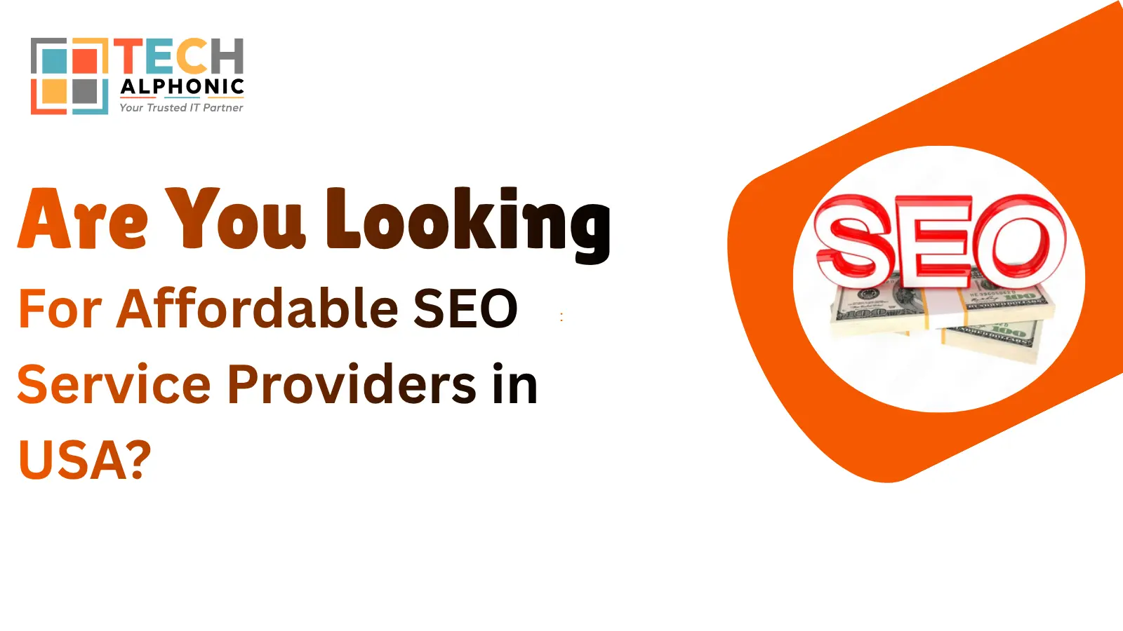 Are You Looking For Affordable SEO Service Providers in USA?