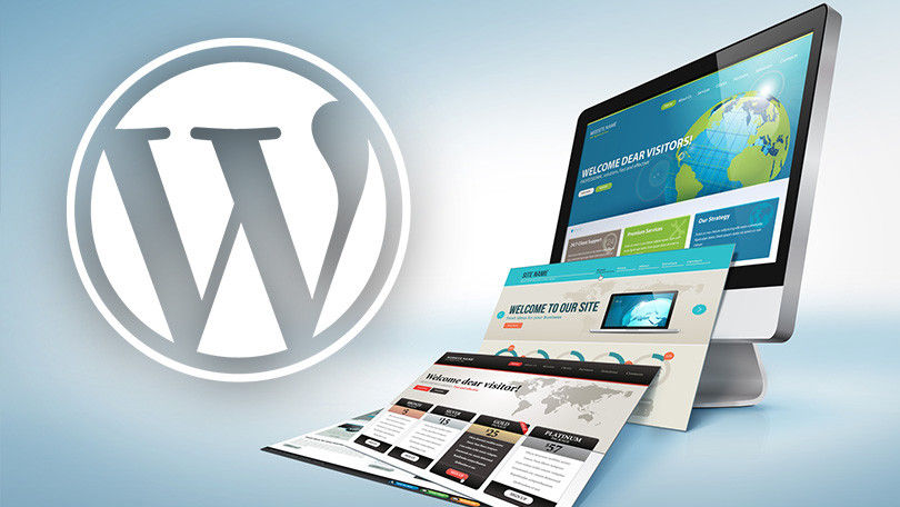 Website Development Services